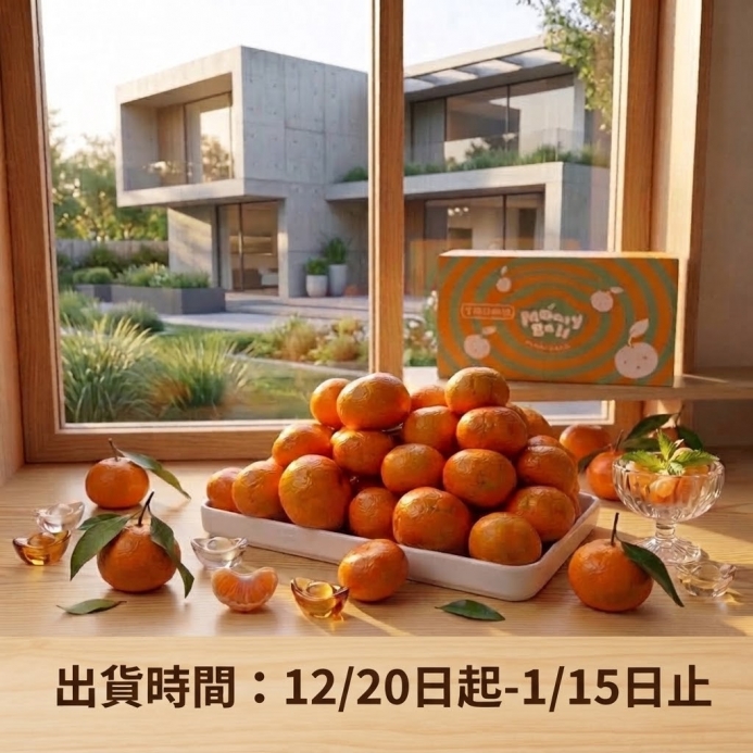 砂糖桔 A級