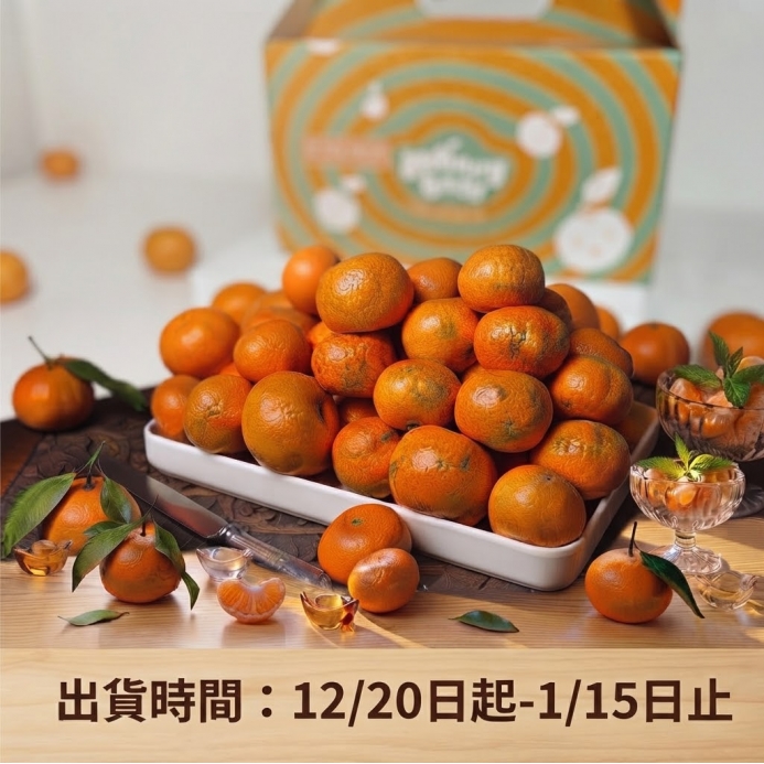 砂糖桔 B級 3.5台斤