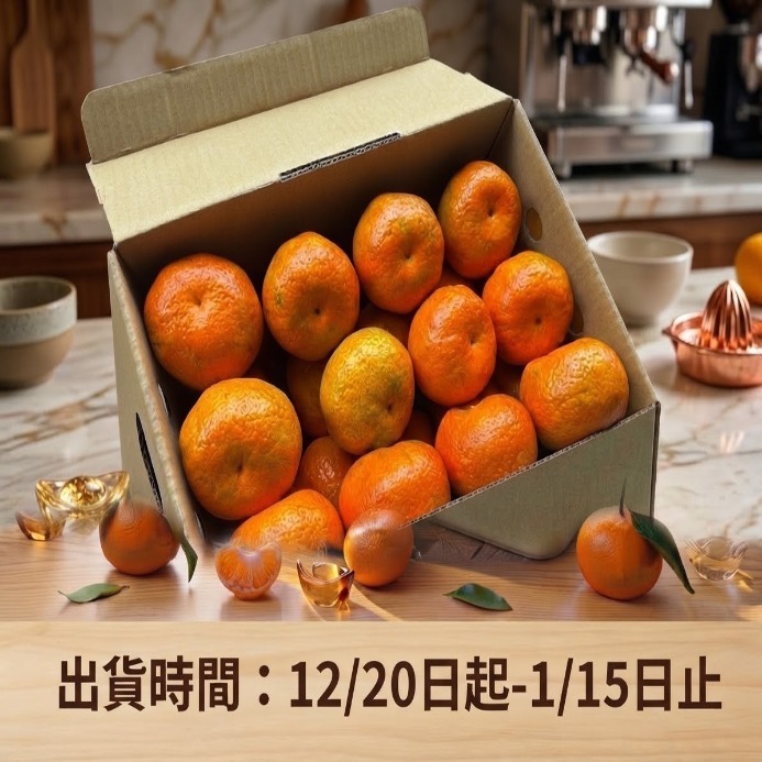砂糖桔 大果